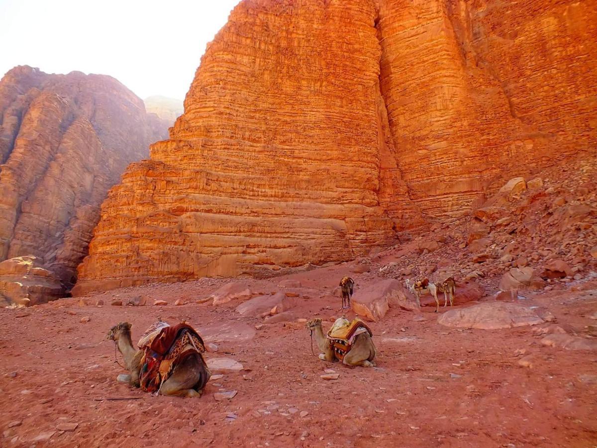 Wadirum Desert Tours Camp Wadi Rum Exterior photo