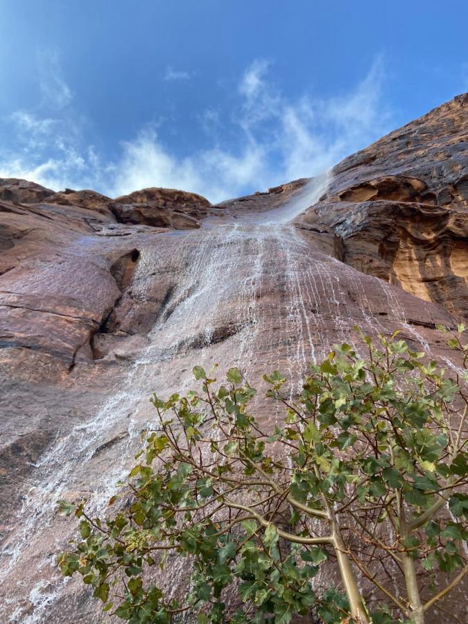 Wadirum Desert Tours Camp Wadi Rum Exterior photo