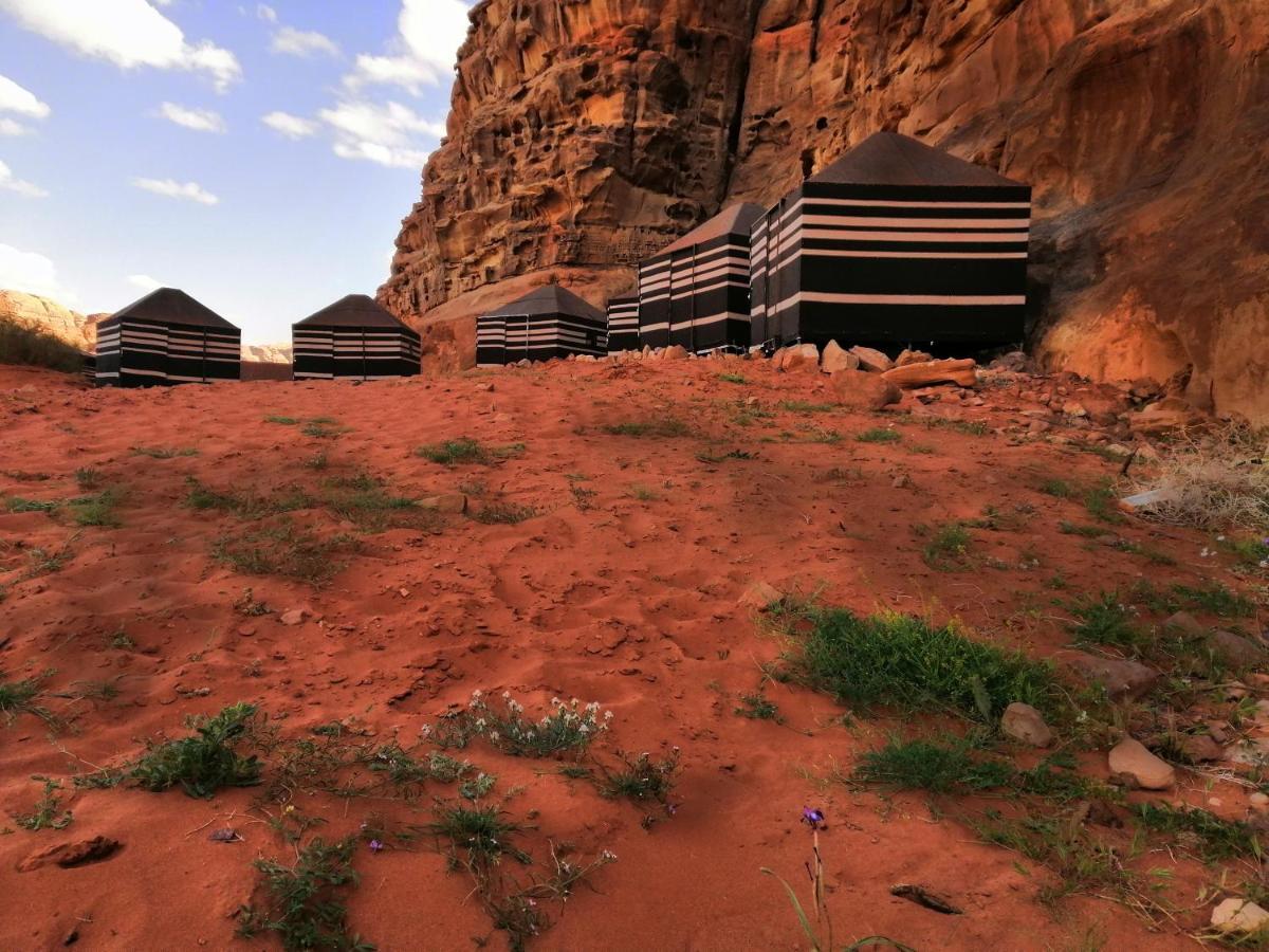 Wadirum Desert Tours Camp Wadi Rum Exterior photo